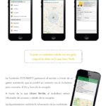 recogidas domiciliarias - linea verde